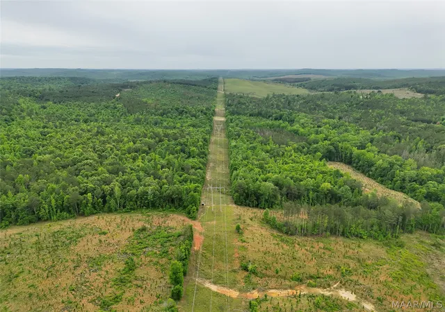 2nd image of 0 County Rd, Moundville, AL 35474 | MLS# 586376