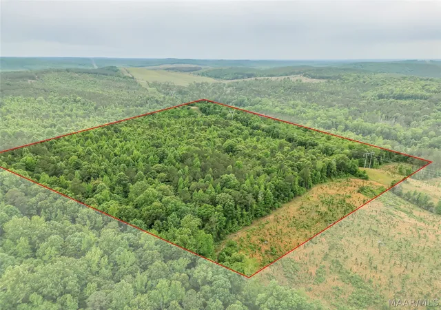 3rd image of 0 County Rd, Moundville, AL 35474 | MLS# 586376