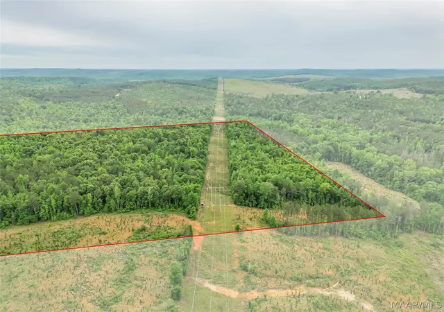 4th image of 0 County Rd, Moundville, AL 35474 | MLS# 586376