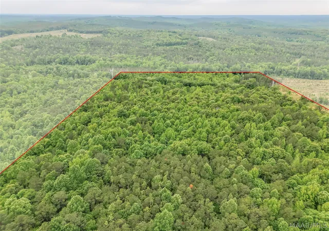 5th image of 0 County Rd, Moundville, AL 35474 | MLS# 586376