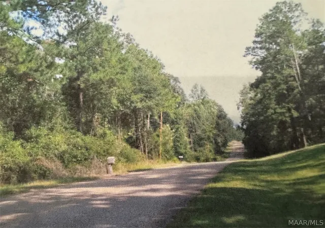 Homes for sale in Selma, AL | 976 County Road 80 Road, Selma, AL 36703 | MLS# 586199