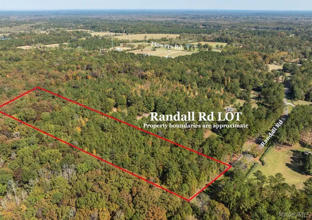 Homes for sale in Cecil, AL | 000 Randall Rd, Cecil, AL 36013 | MLS# 586352