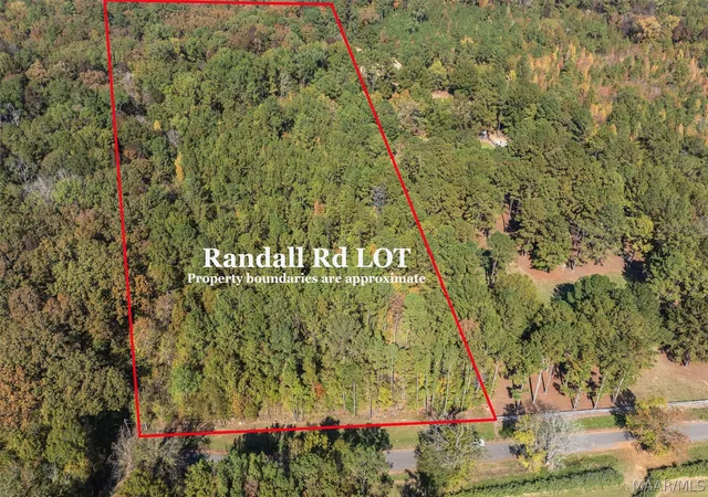 2nd image of 000 Randall Rd, Cecil, AL 36013 | MLS# 586352
