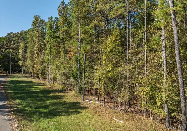 4th image of 000 Randall Rd, Cecil, AL 36013 | MLS# 586352