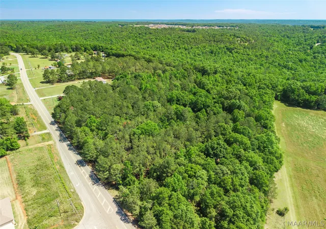 Homes for sale in Wetumpka, AL | 0 Dozier Rd, Wetumpka, AL 36093 | MLS# 586447