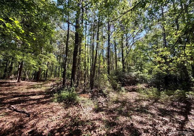 Homes for sale in Wetumpka, AL | 0 Dozier Rd, Wetumpka, AL 36093 | MLS# 586447