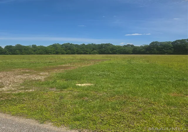 2nd image of 215 Crossing Ln, Pike Road, AL 36064 | MLS# 586455