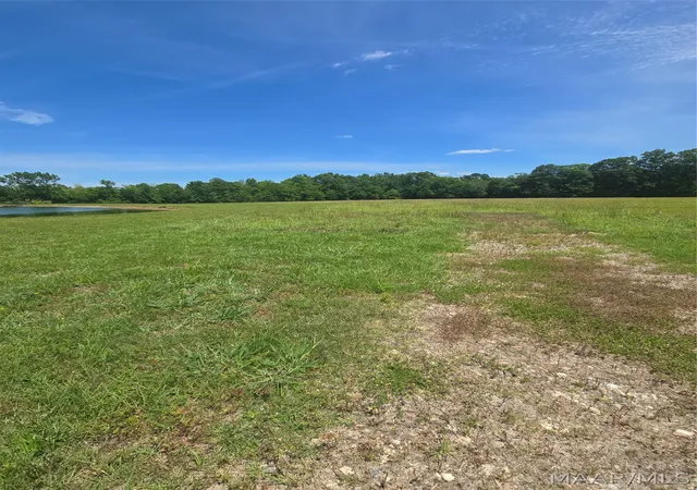 4th image of 215 Crossing Ln, Pike Road, AL 36064 | MLS# 586455