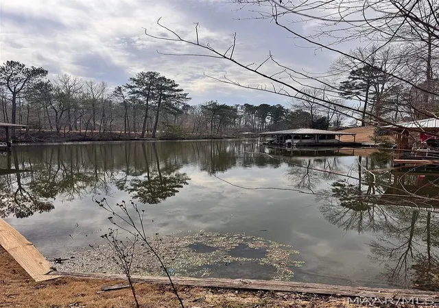1st image of 10 Yacht Club Rd, Titus, AL 36080 | MLS# 586467