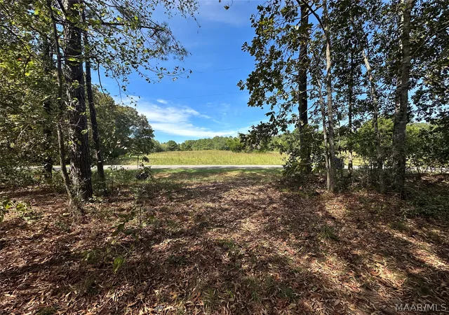 Photo 2 of Land for sale at 10 Yacht Clb Rd, Titus, AL 36080 | MLS# 586467 | Listing updated on 2026-09-28