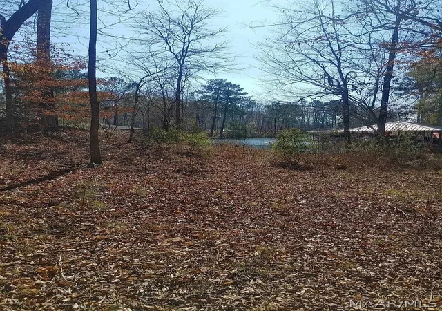 3rd image of 10 Yacht Club Rd, Titus, AL 36080 | MLS# 586467
