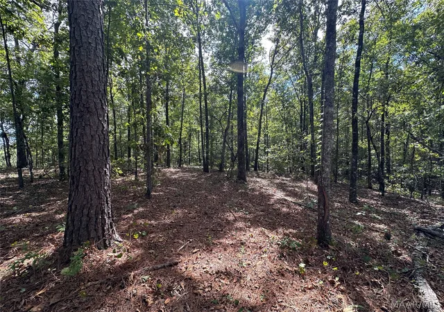 Photo 3 of Land for sale at 10 Yacht Clb Rd, Titus, AL 36080 | MLS# 586467 | Listing updated on 2026-09-28