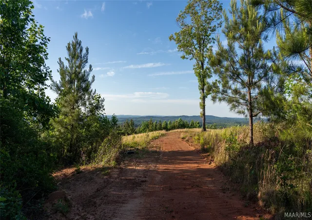 1st image of 0 County Road 12, Heflin, AL 36264 | MLS# 586636