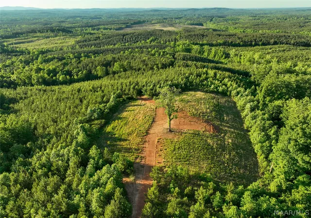 4th image of 0 County Road 12, Heflin, AL 36264 | MLS# 586636
