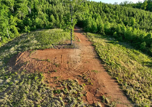 5th image of 0 County Road 12, Heflin, AL 36264 | MLS# 586636