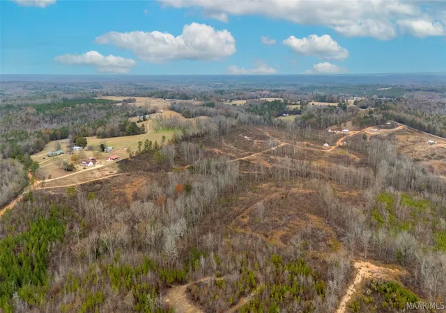 Homes for sale in Marbury, AL | 00 County Road 56 Road, Marbury, AL 36051 | MLS# 586692