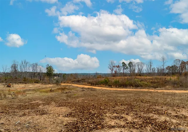 Homes for sale in Marbury, AL | 00 County Road 56 Road, Marbury, AL 36051 | MLS# 586692