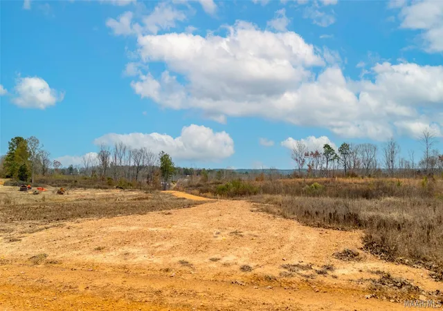 Homes for sale in Marbury, AL | 00 County Road 56 Road, Marbury, AL 36051 | MLS# 586692
