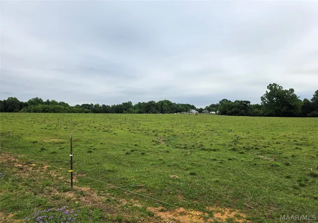 1st image of 0 Womble Ln, Deatsville, AL 36022 | MLS# 586690