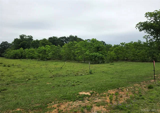 2nd image of 0 Womble Ln, Deatsville, AL 36022 | MLS# 586690