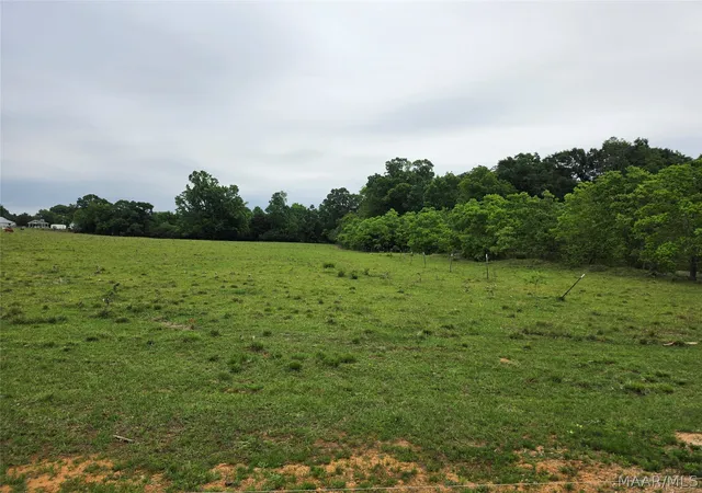 Photo 3 of Land for sale at 0 Womble Ln, Deatsville, AL 36022 | MLS# 586690 | Listing updated on 2026-08-28