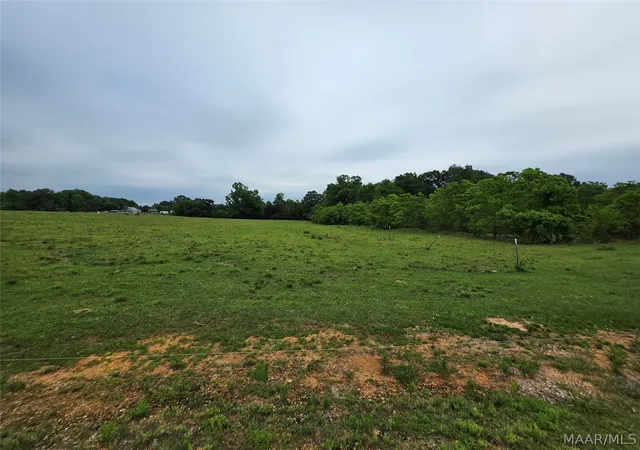 4th image of 0 Womble Ln, Deatsville, AL 36022 | MLS# 586690
