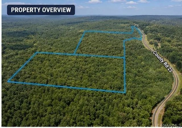 2nd image of 0 County Road 25, Heflin, AL 36264 | MLS# 586763