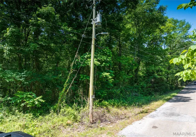 3rd image of 0 Walker St, Greensboro, AL 36744 | MLS# 586787