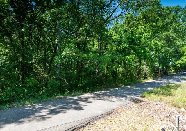 4th image of 0 Walker St, Greensboro, AL 36744 | MLS# 586787