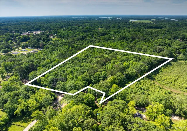 5th image of 0 Walker St, Greensboro, AL 36744 | MLS# 586787