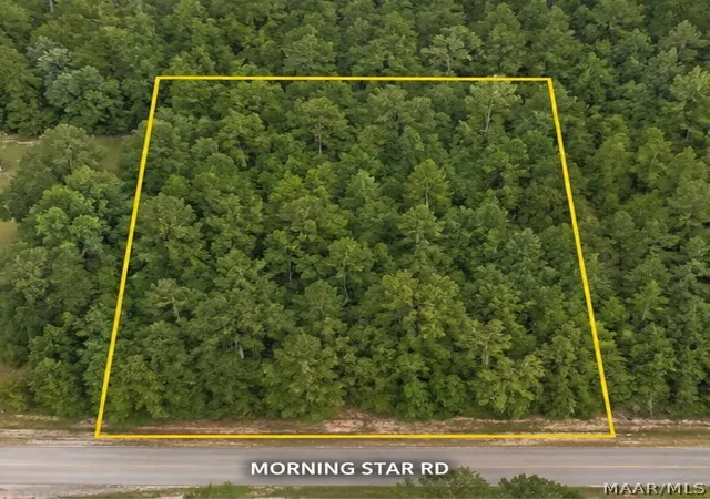 1st image of 0 Morning Star Rd, Whatley, AL 36482 | MLS# 586791