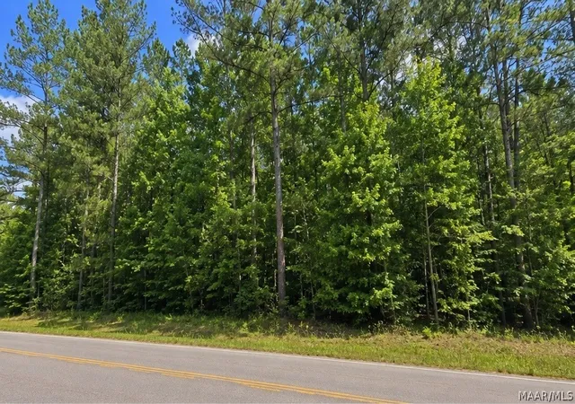 2nd image of 0 Morning Star Rd, Whatley, AL 36482 | MLS# 586791