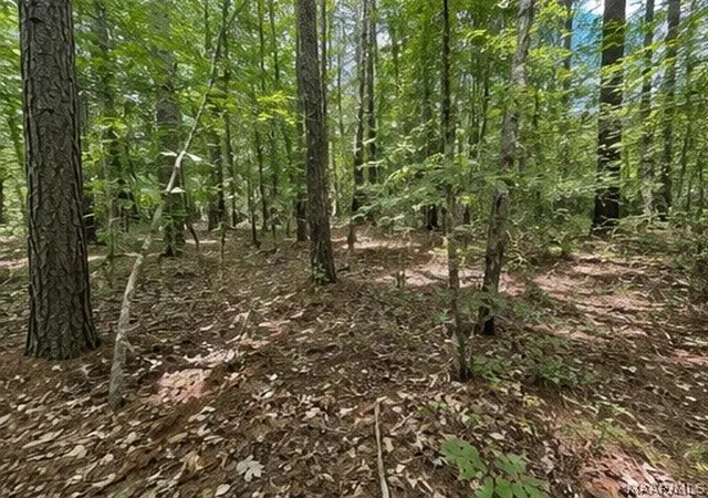 3rd image of 0 Morning Star Rd, Whatley, AL 36482 | MLS# 586791