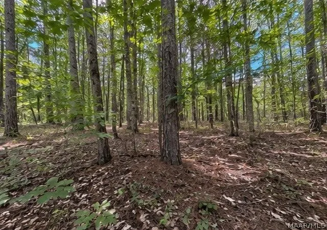 5th image of 0 Morning Star Rd, Whatley, AL 36482 | MLS# 586791