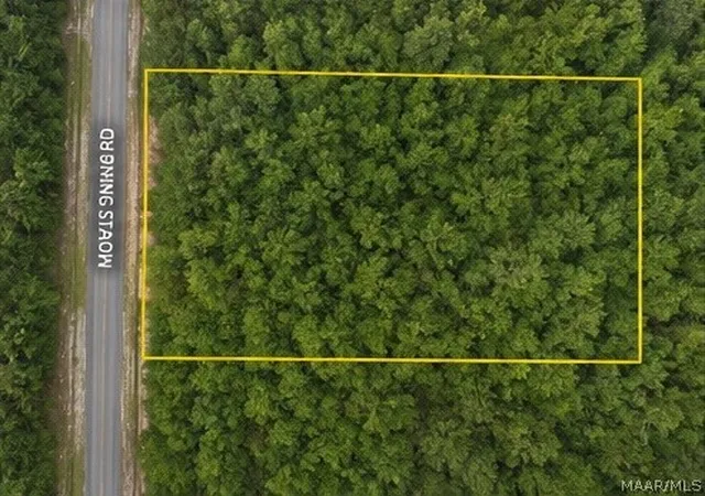 9th image of 0 Morning Star Rd, Whatley, AL 36482 | MLS# 586791