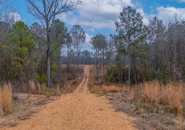 1st image of 272 Shadow Wood Ln, Wetumpka, AL 36092 | MLS# 586808