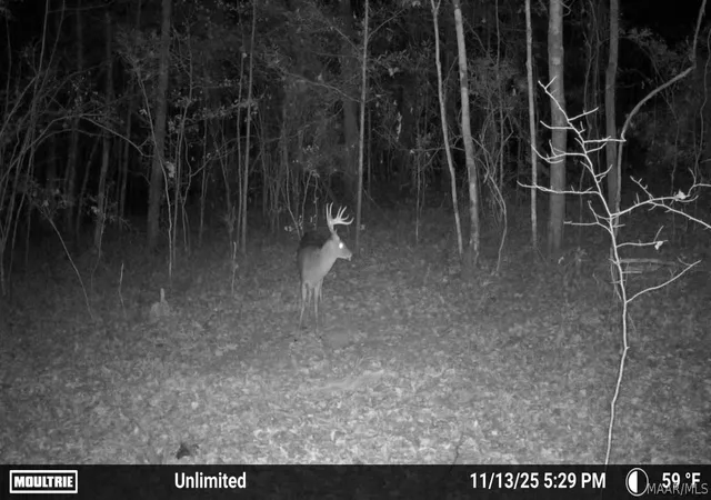 15th image of 6790 Deatsville Hwy, Deatsville, AL 36022 | MLS# 586811