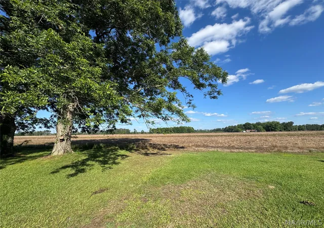 24th image of 2061 County Road 6 Road, Camden, AL 36726 | MLS# 586849