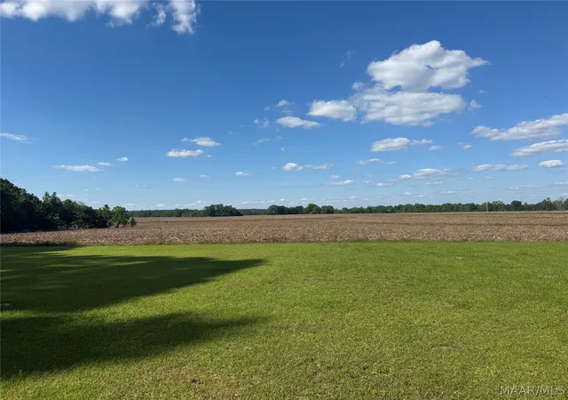 4th image of 2061 County Road 6 Road, Camden, AL 36726 | MLS# 586849