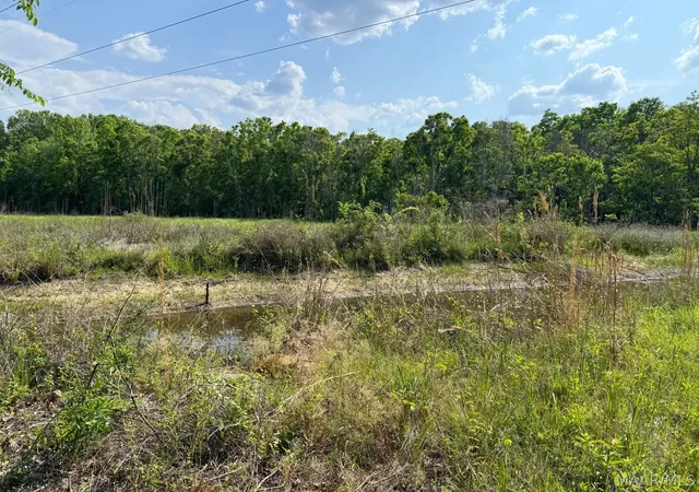 2nd image of 0000 Ohio Ferro Rd, Montgomery, AL 36117 | MLS# 586866