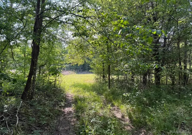 4th image of 0000 Ohio Ferro Rd, Montgomery, AL 36117 | MLS# 586866