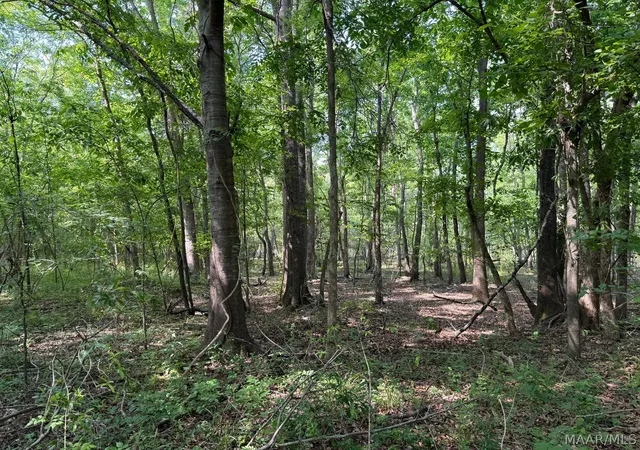 5th image of 0000 Ohio Ferro Rd, Montgomery, AL 36117 | MLS# 586866