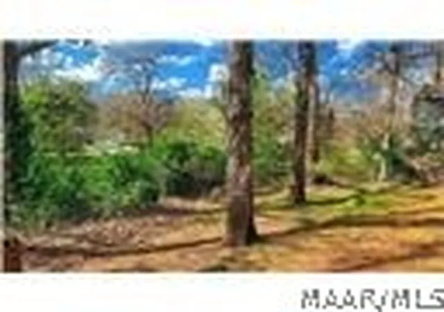 11th image of 3033 Willow Lane Dr, Montgomery, AL 36109 | MLS# 586977