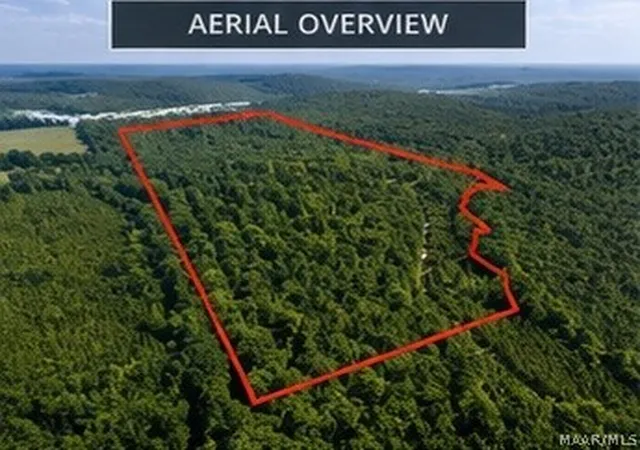 2nd image of 0 County Road 459, Clanton, AL 35046 | MLS# 587045