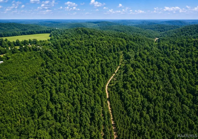3rd image of 0 County Road 459, Clanton, AL 35046 | MLS# 587045