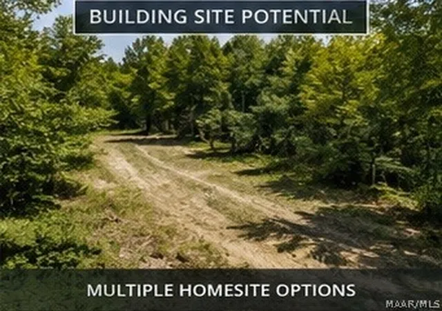 4th image of 0 County Road 459, Clanton, AL 35046 | MLS# 587045