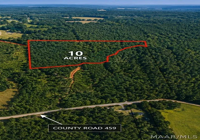 5th image of 0 County Road 459, Clanton, AL 35046 | MLS# 587045