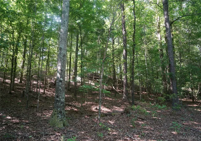 3rd image of 2768 Hillabee Rd, Ramer, AL 36069 | MLS# 587106