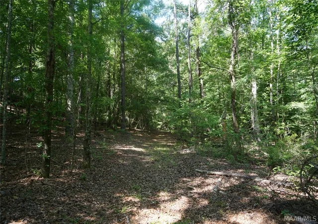 5th image of 2768 Hillabee Rd, Ramer, AL 36069 | MLS# 587106