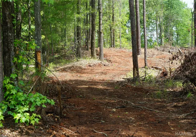 Photo 1 of Land for sale at 1300 Jackson Rd, Fitzpatrick, AL 36029 | MLS# 587116 | Listing updated on 2026-08-28